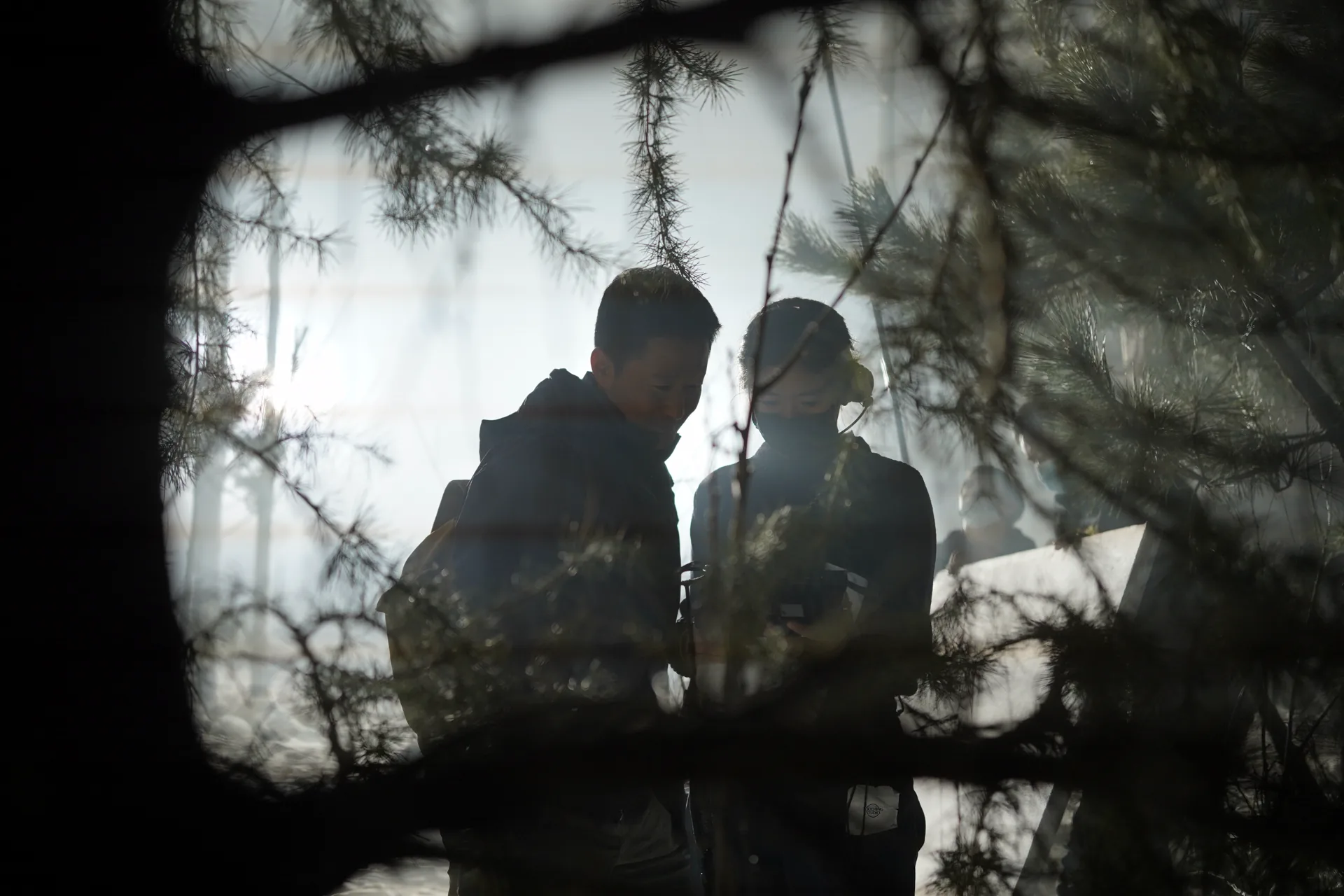 Wildaid Tigers Wujing behind the scenes